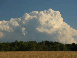 Cauliflower Clouds in UNY