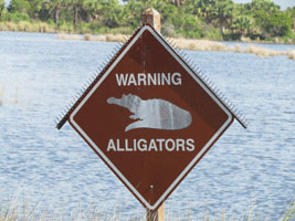 Warning Alligators sign