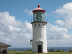 Kilauea Point